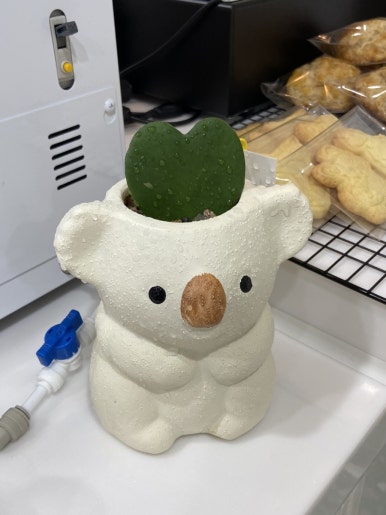 카페오이사 이미지