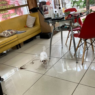 아르떼헤어샵 이미지