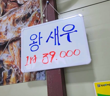 불나리 이미지