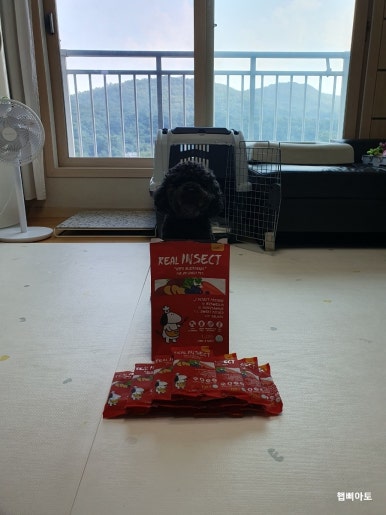 팔.칠유통 이미지