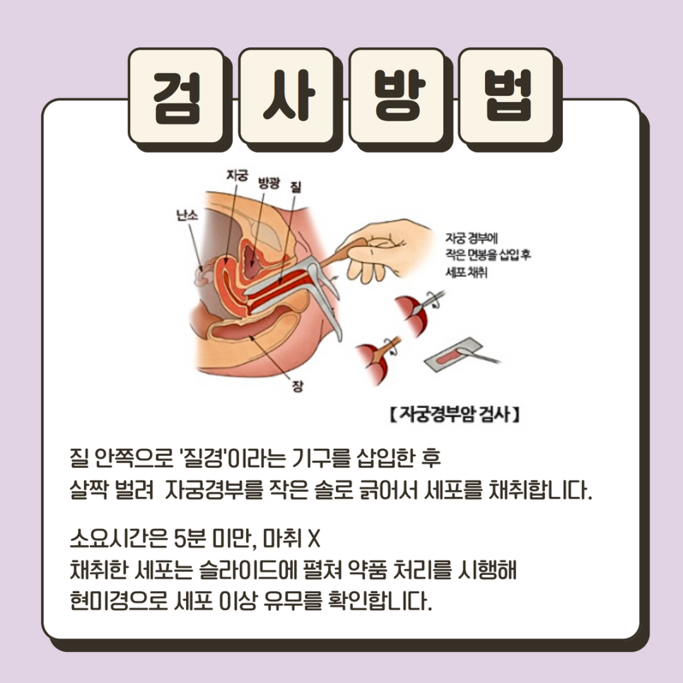 르네의원 이미지