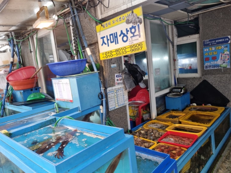 새댁상회 이미지