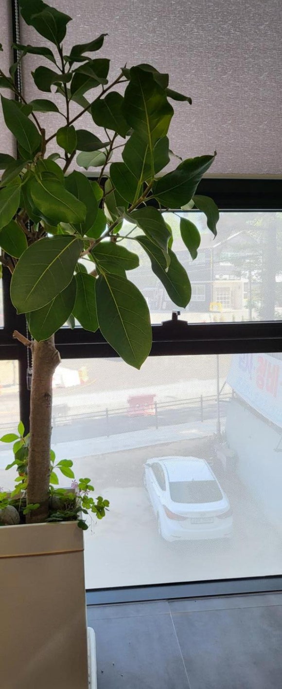 블루핸즈동탄현대자동차 이미지