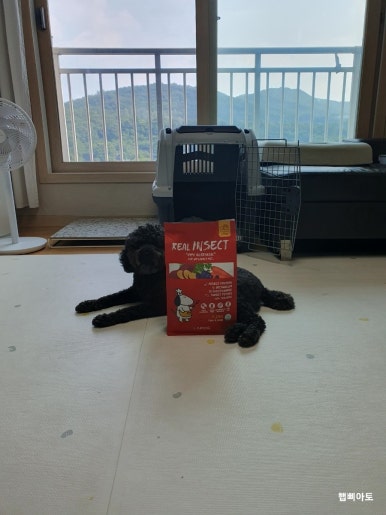 팔.칠유통 이미지
