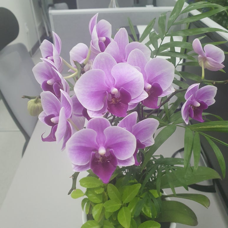 다산법무사사무소 이미지