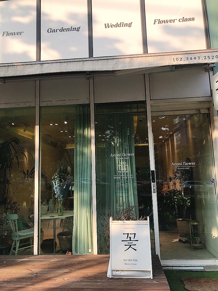 이오니플라워 이미지