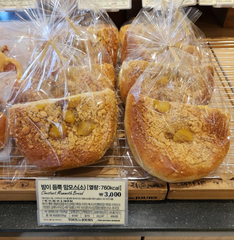 빵담아 이미지