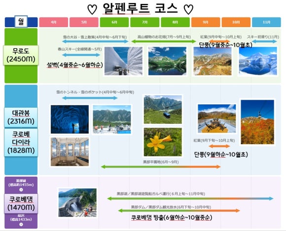 (주)알프스여행사 이미지