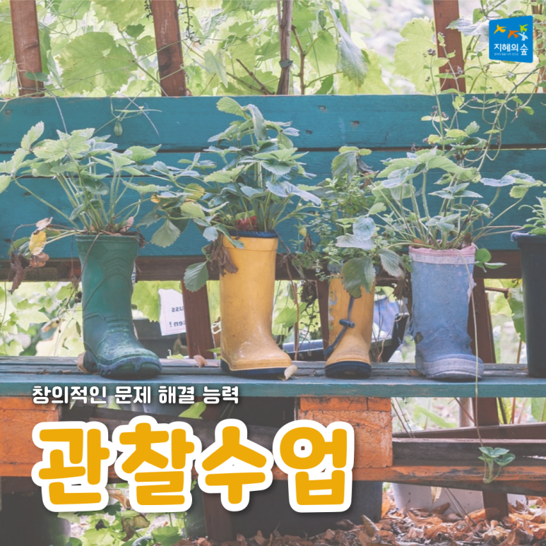 지혜의숲사고력학원 이미지