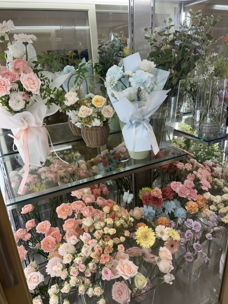 블룸더소브니 이미지