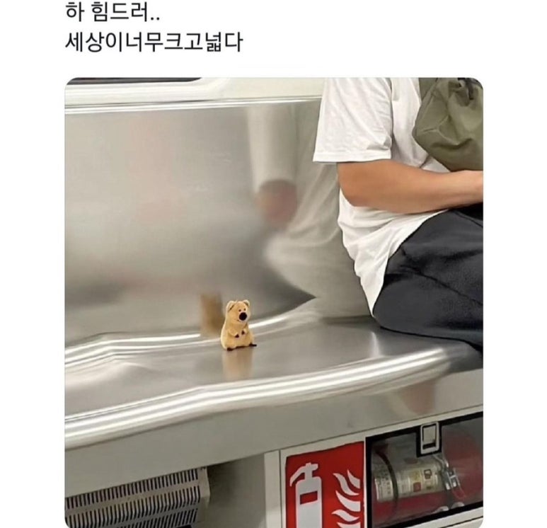 휘난새 이미지