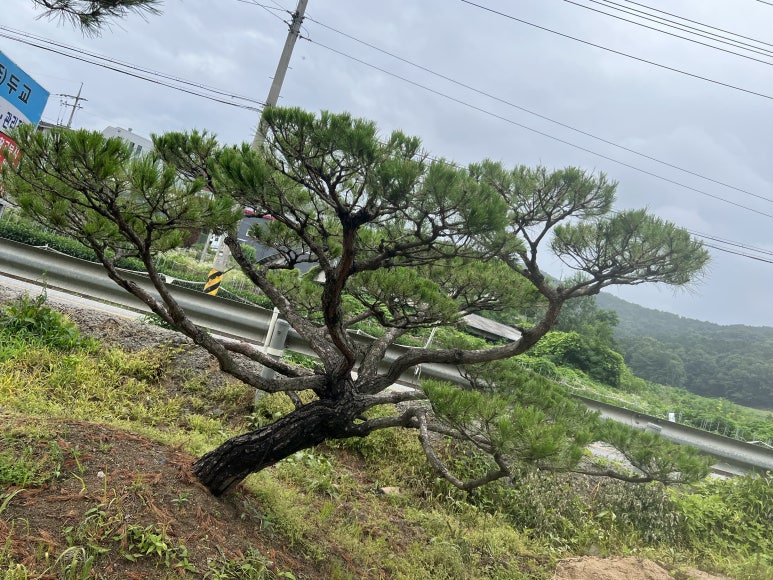 (주) 한울조경 이미지