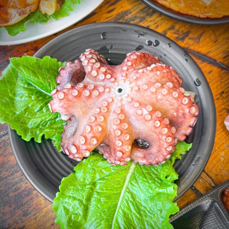 배창고 이미지
