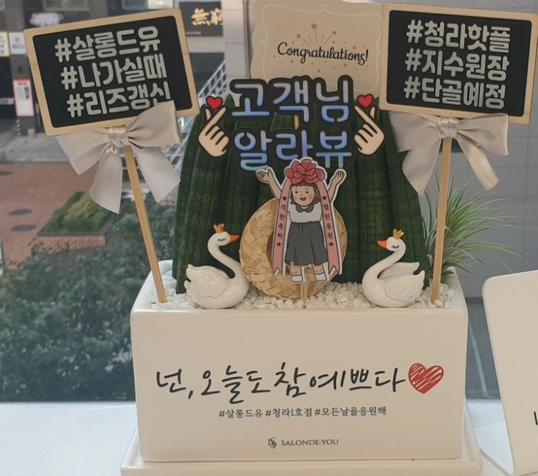 살롱드유 이미지