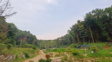 더드림농원 이미지