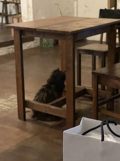 카페연화 이미지