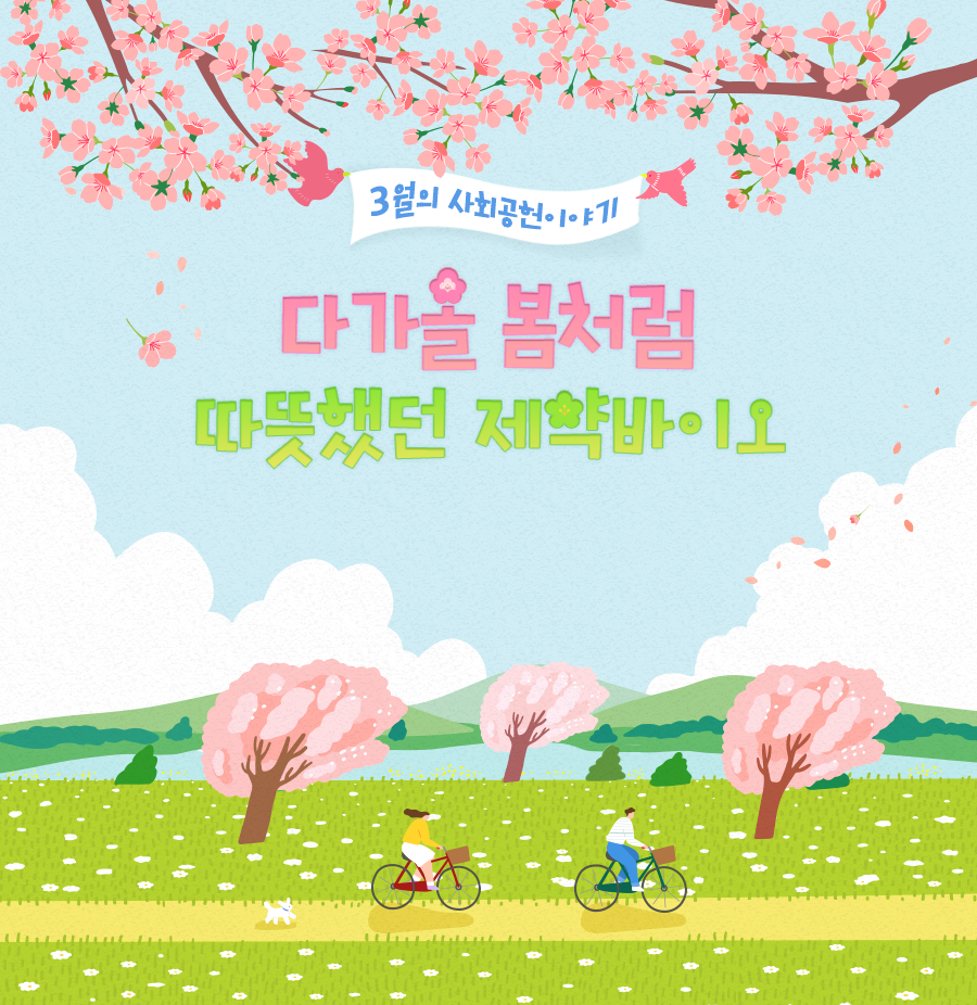이미지기획 이미지