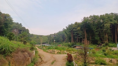 더드림농원 이미지
