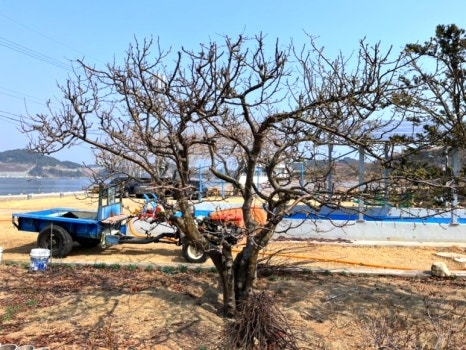 하늘땅펜션 이미지