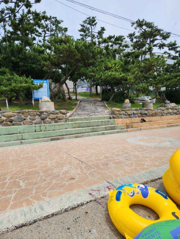대천머드파라솔 이미지