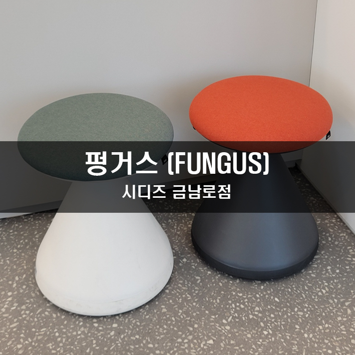 펑거스Fungus 이미지