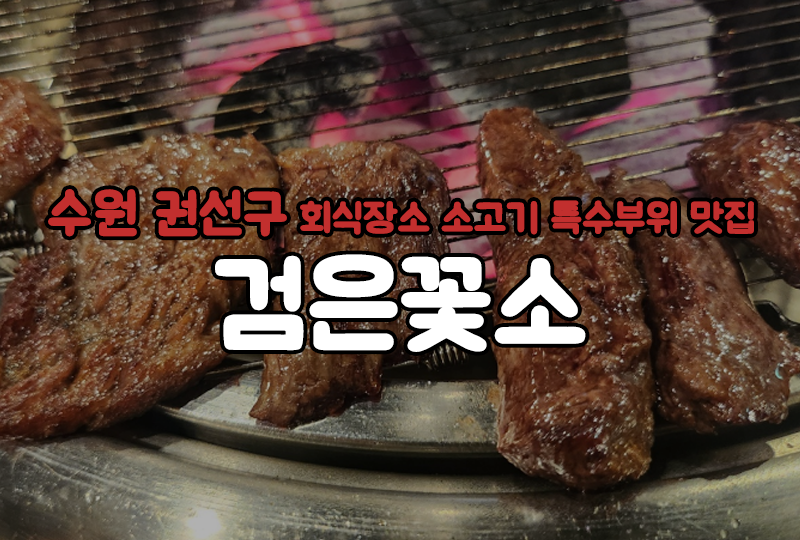 검은꽃소 이미지