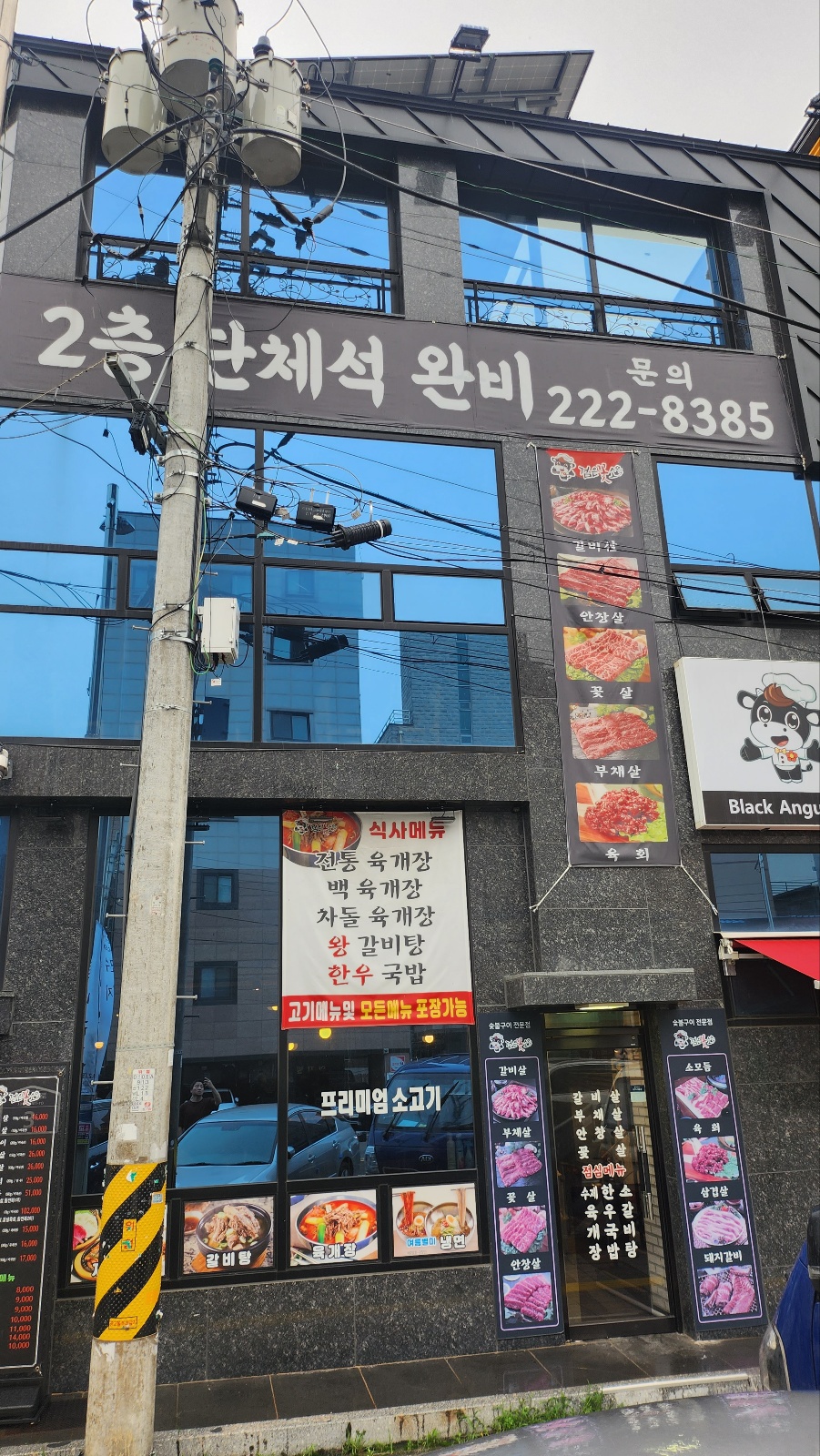 검은꽃소 이미지