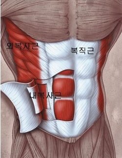 플로어칠 이미지