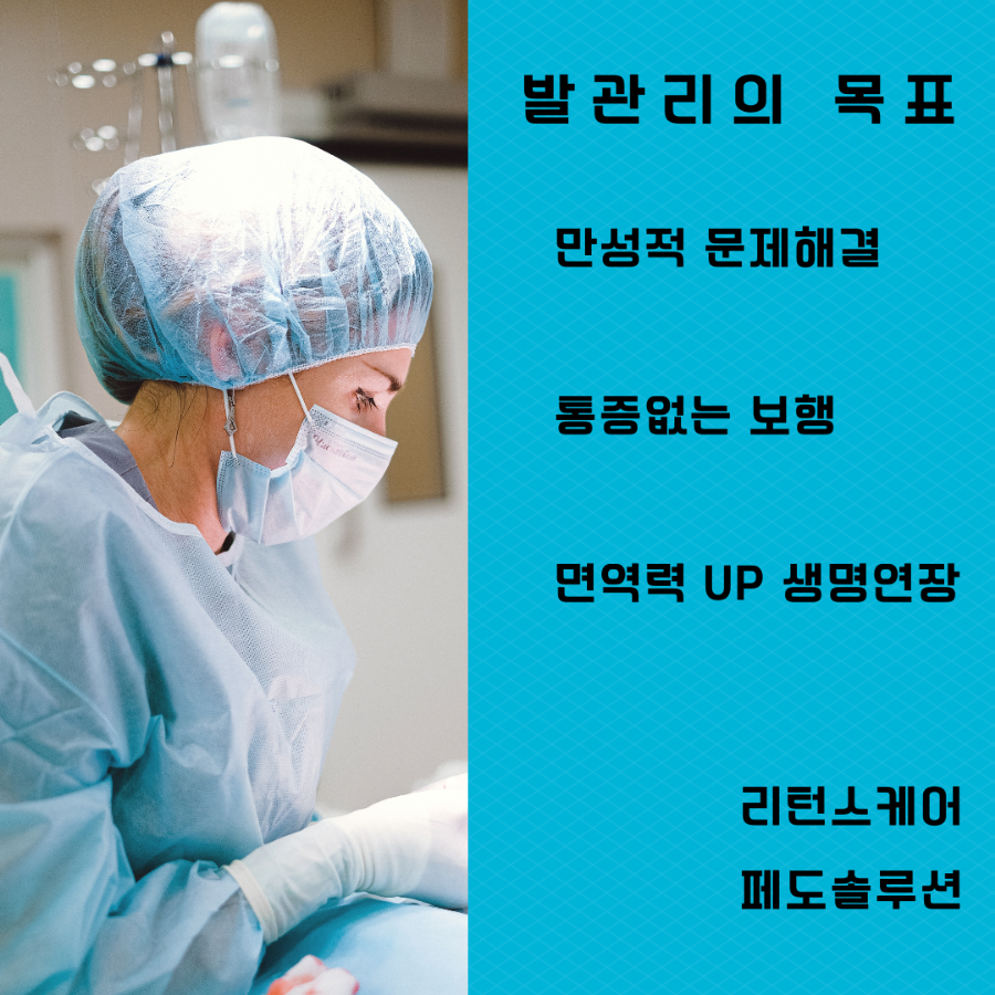 페도솔루션 이미지