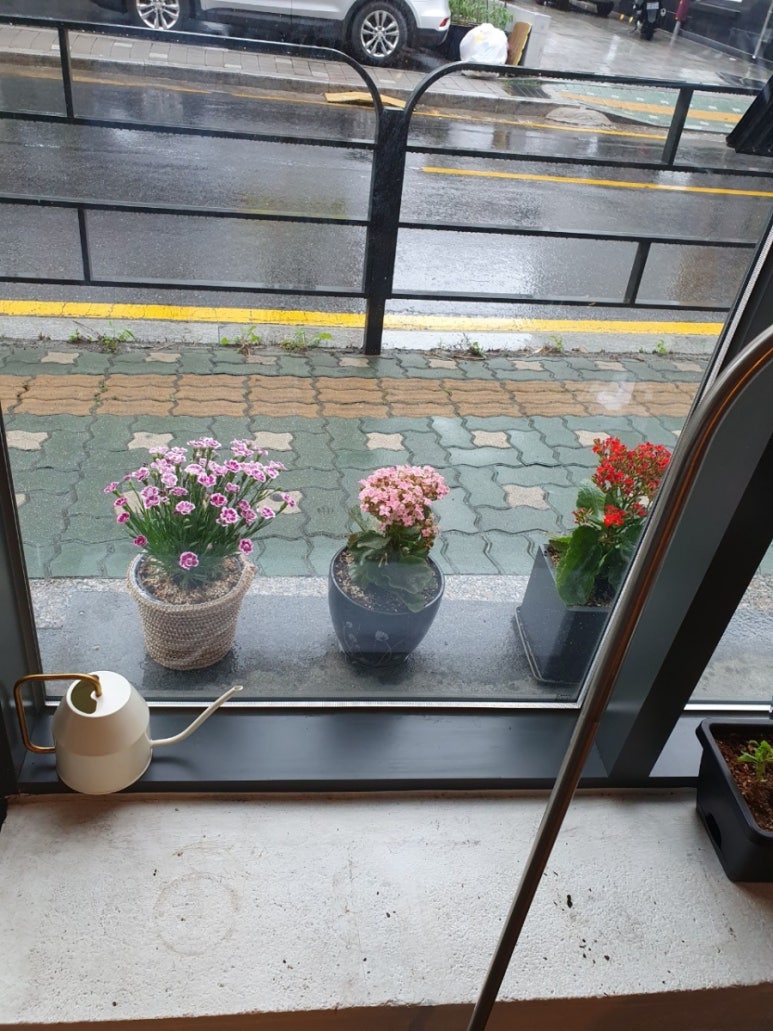 사랑방커피 이미지