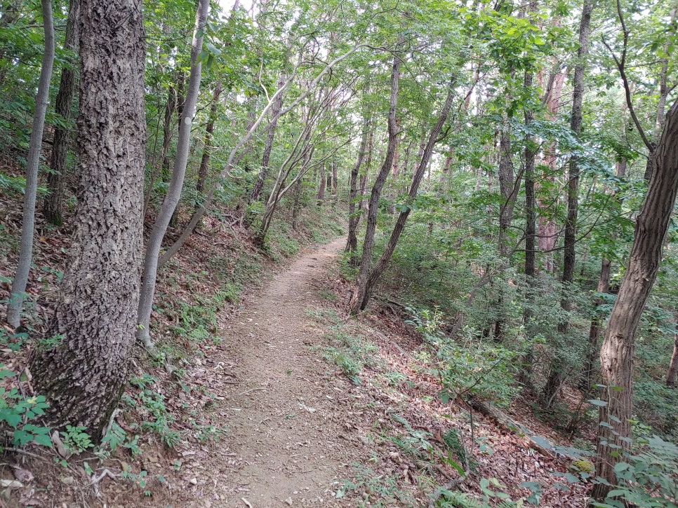 산비탈다방 이미지
