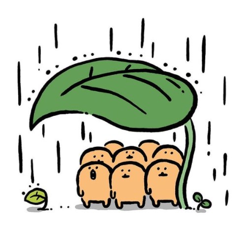디자인박스 이미지