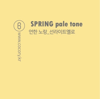 코코리색채연구소 이미지