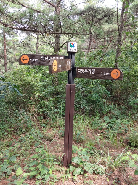 산비탈다방 이미지