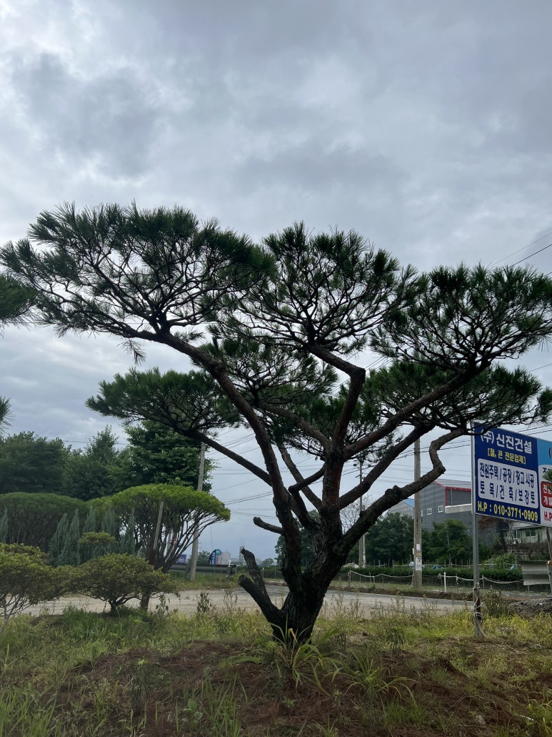 (주) 한울조경 이미지