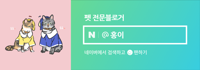 애드캣츠 이미지