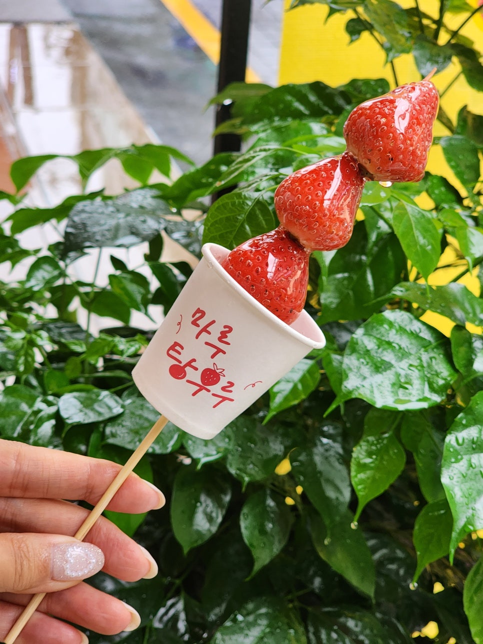 마루탕후루 이미지