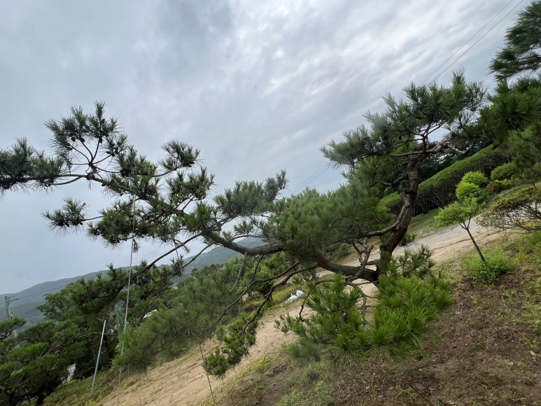 (주) 한울조경 이미지