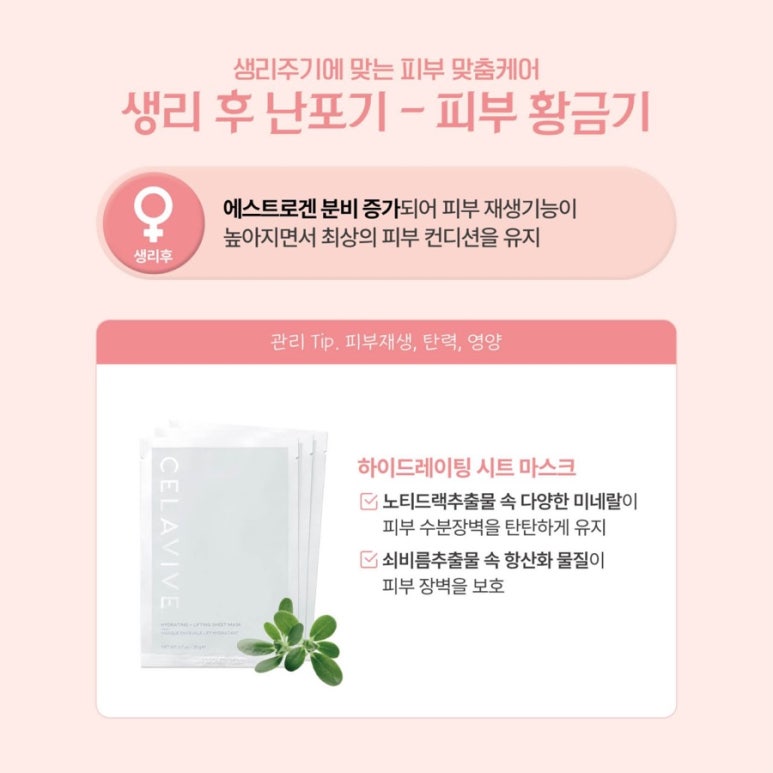 스킨365 이미지