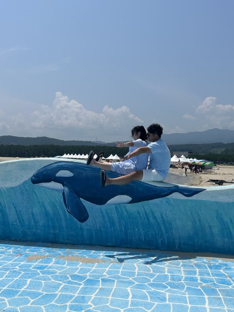 고래불이벤트 이미지