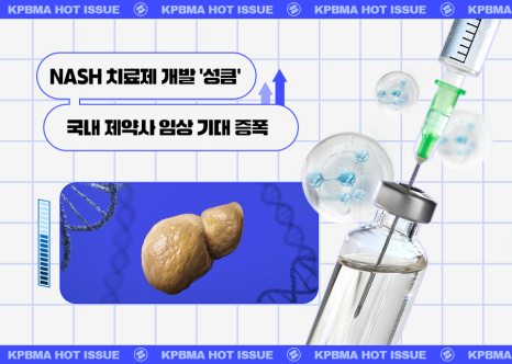 이미지기획 이미지