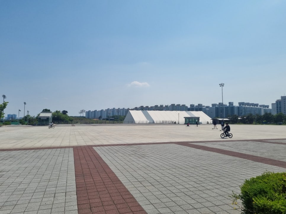 대학레포츠 이미지