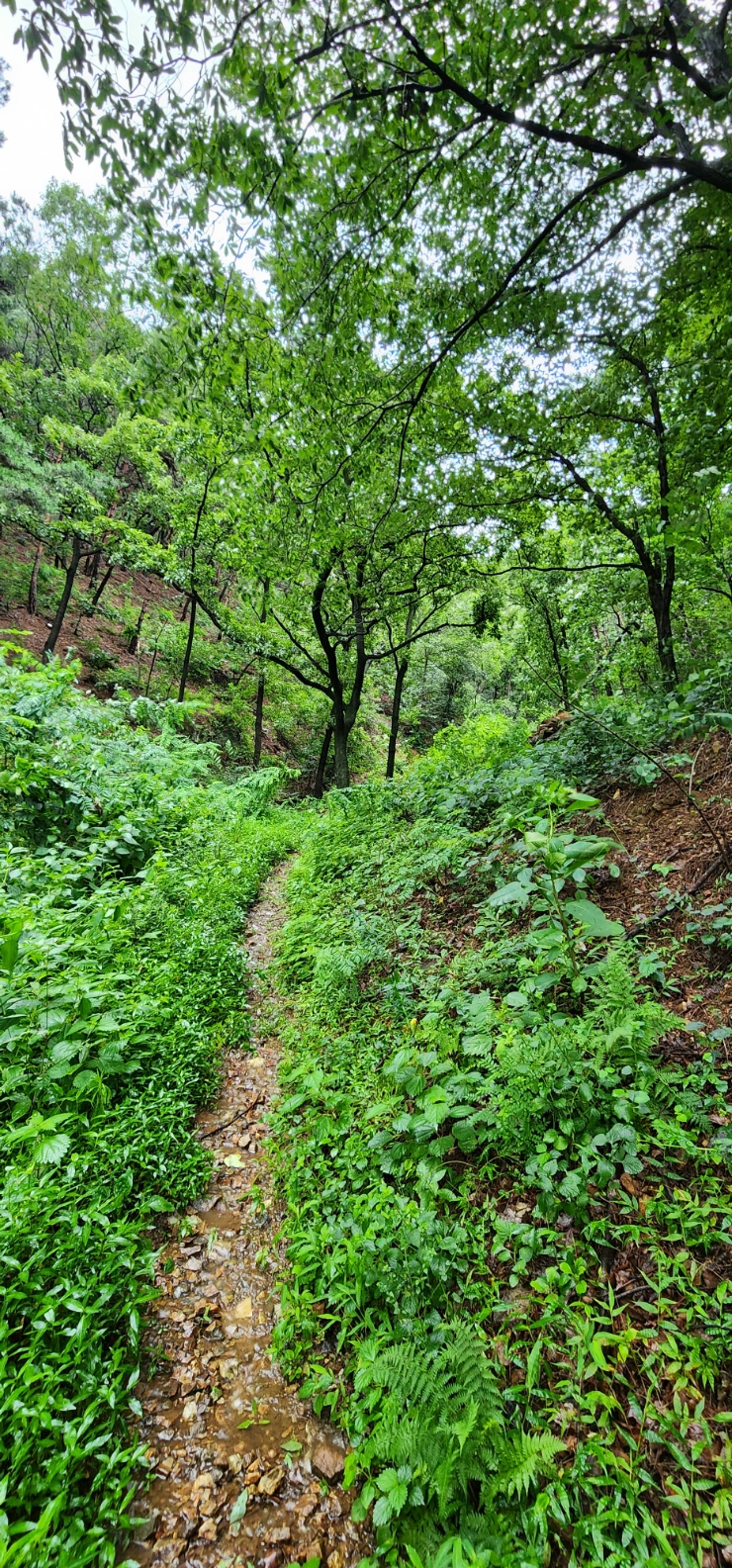 석간수 동굴 이미지