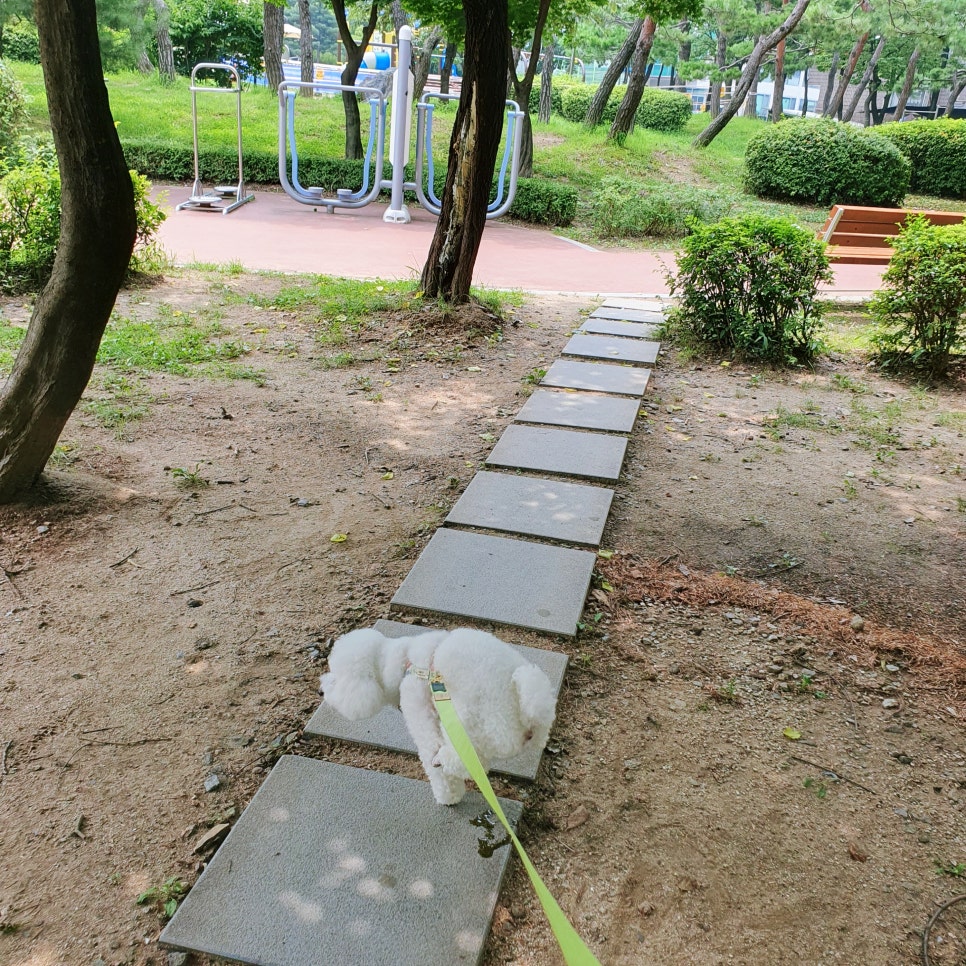 재궁공원 이미지