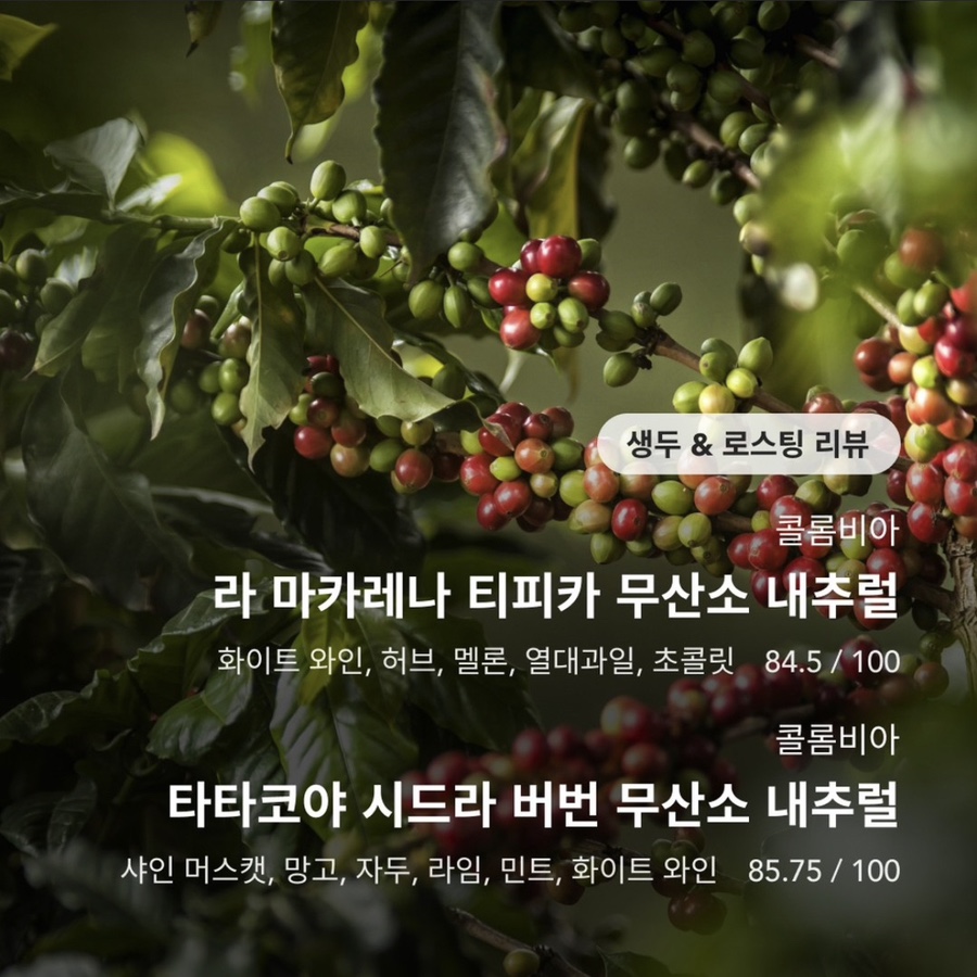 (주)커피플랜트 이미지