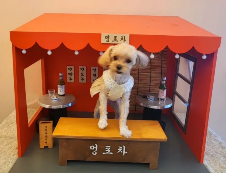 아따멍멍 이미지