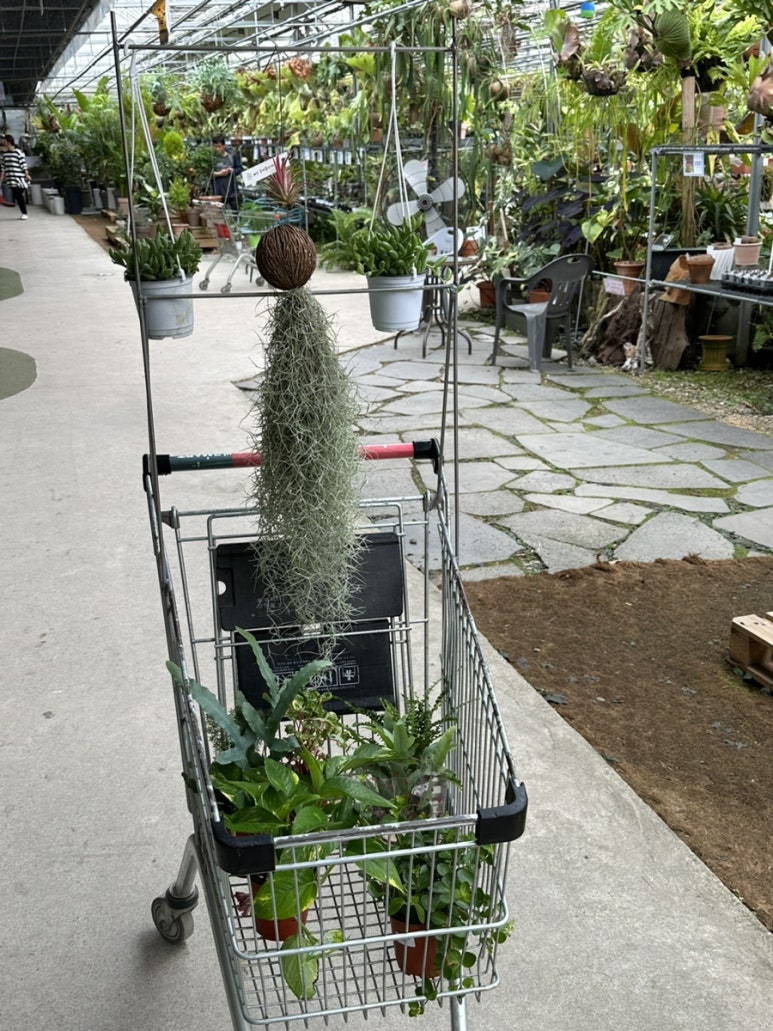 조인폴리 이미지