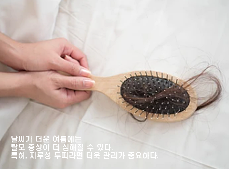 큐사랑대전 이미지