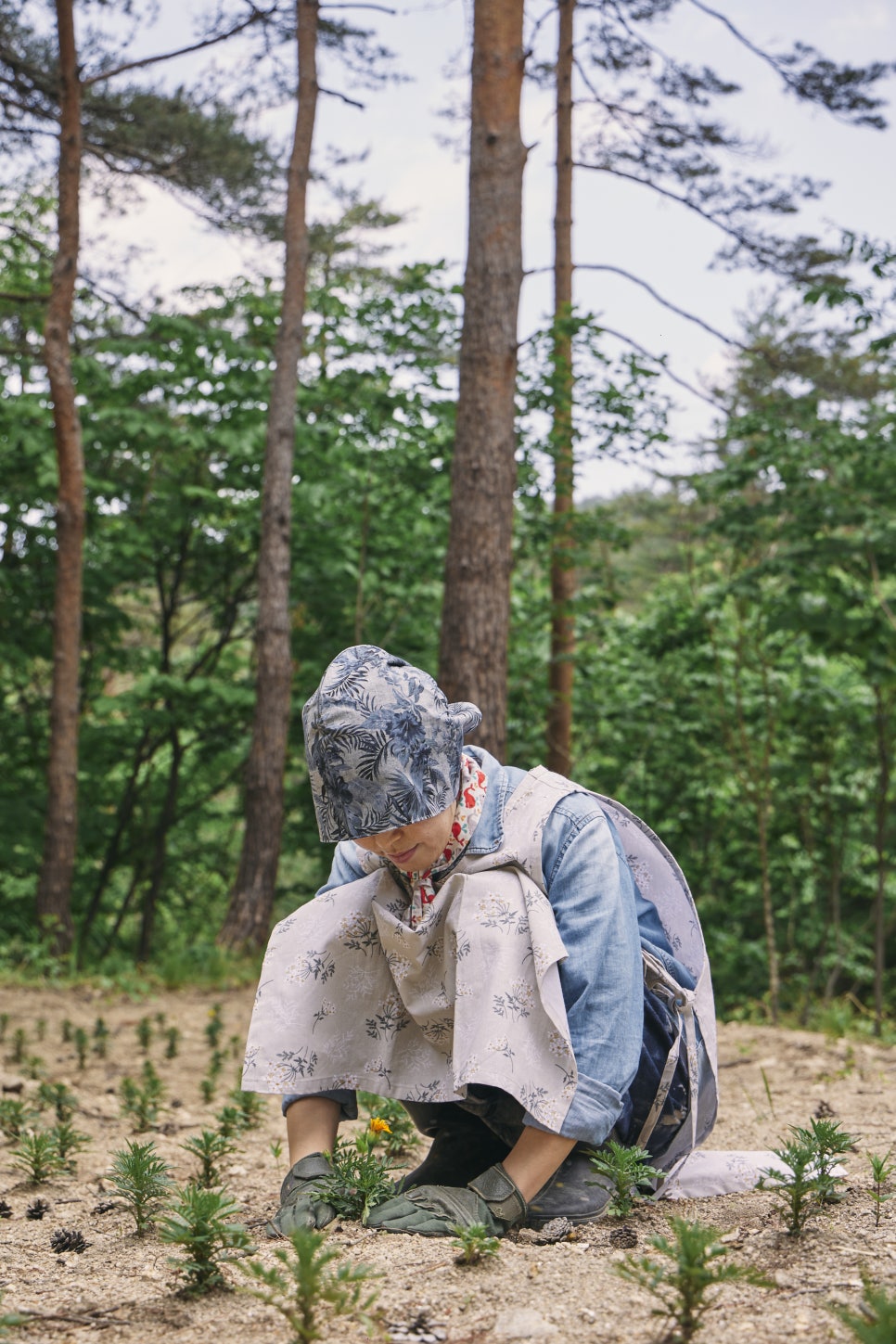 드바로티 이미지