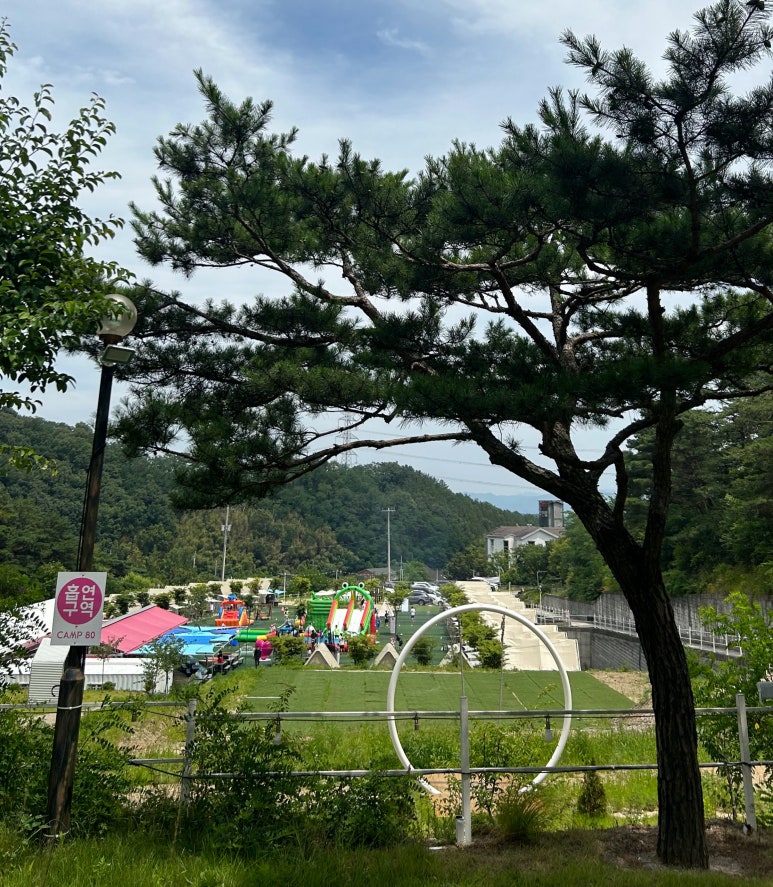 camp 80 이미지
